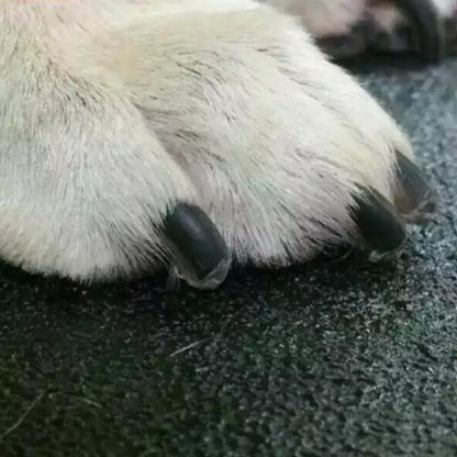 ULTRALEISER KRALLENSCHNEIDER PRO